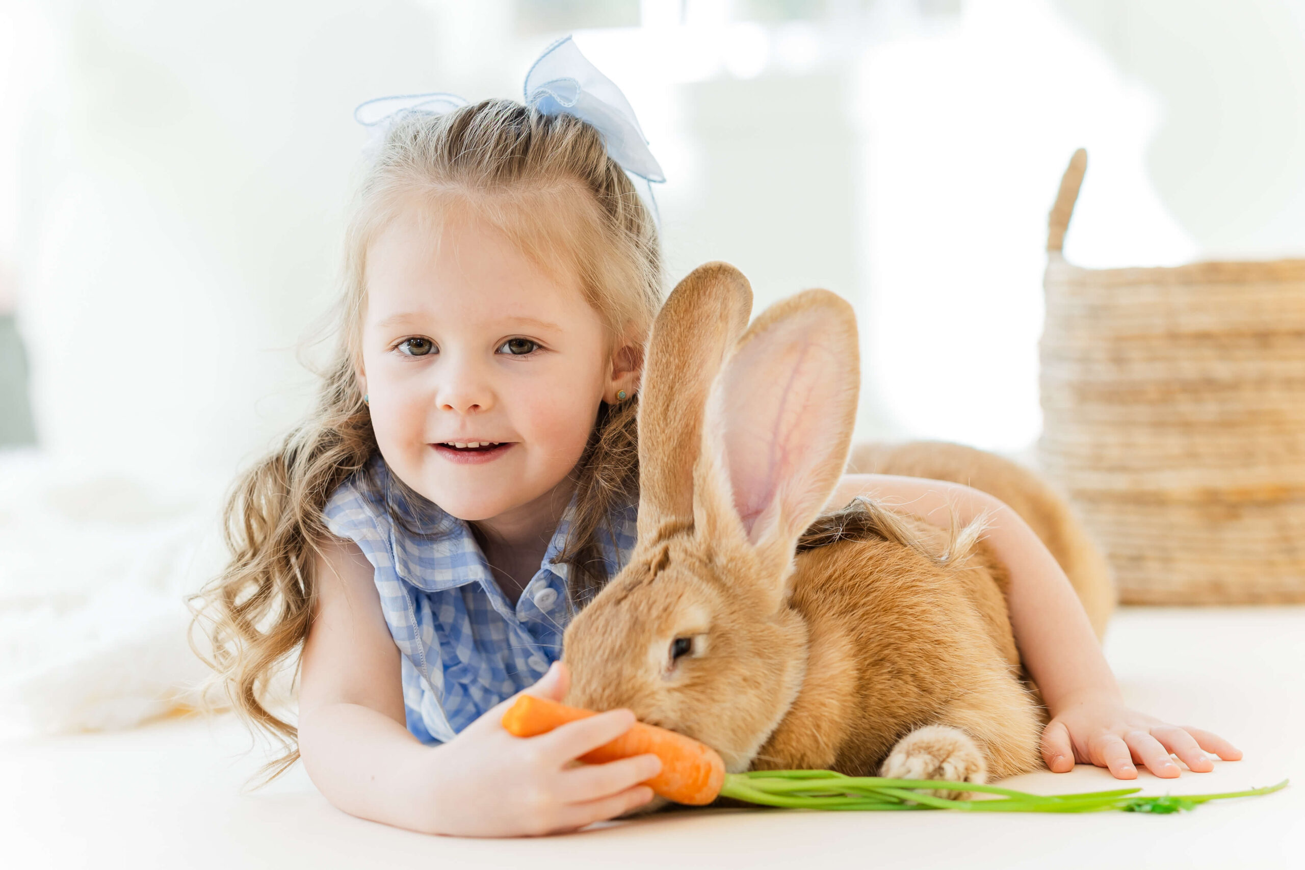 A happy young girl cuddles a brown bunny on the floor while feeding it a carrot