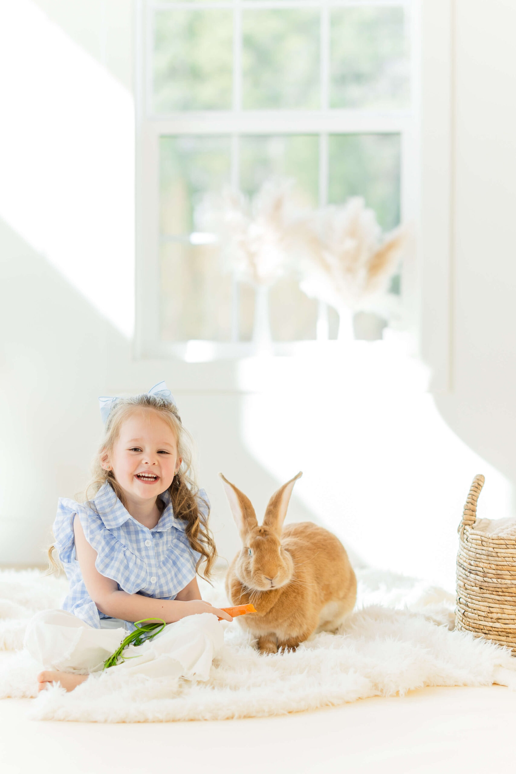 A giggling toddler in a blue dress feeds a bunny in a studio on blanket after exploring daycares in wenatchee