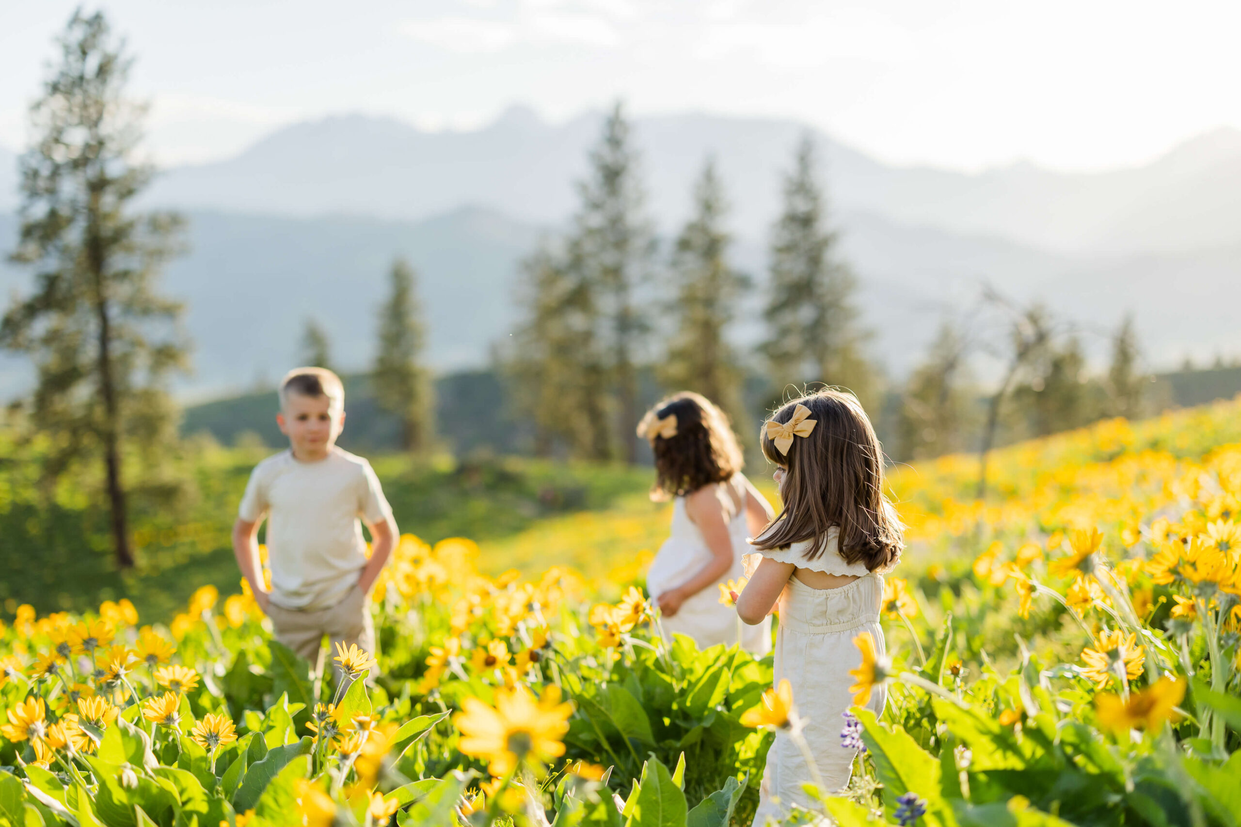 Three young siblings explore a field of yellow wildflowers at sunset in the mountains while enjoying family friendly hotels in leavenworth wa