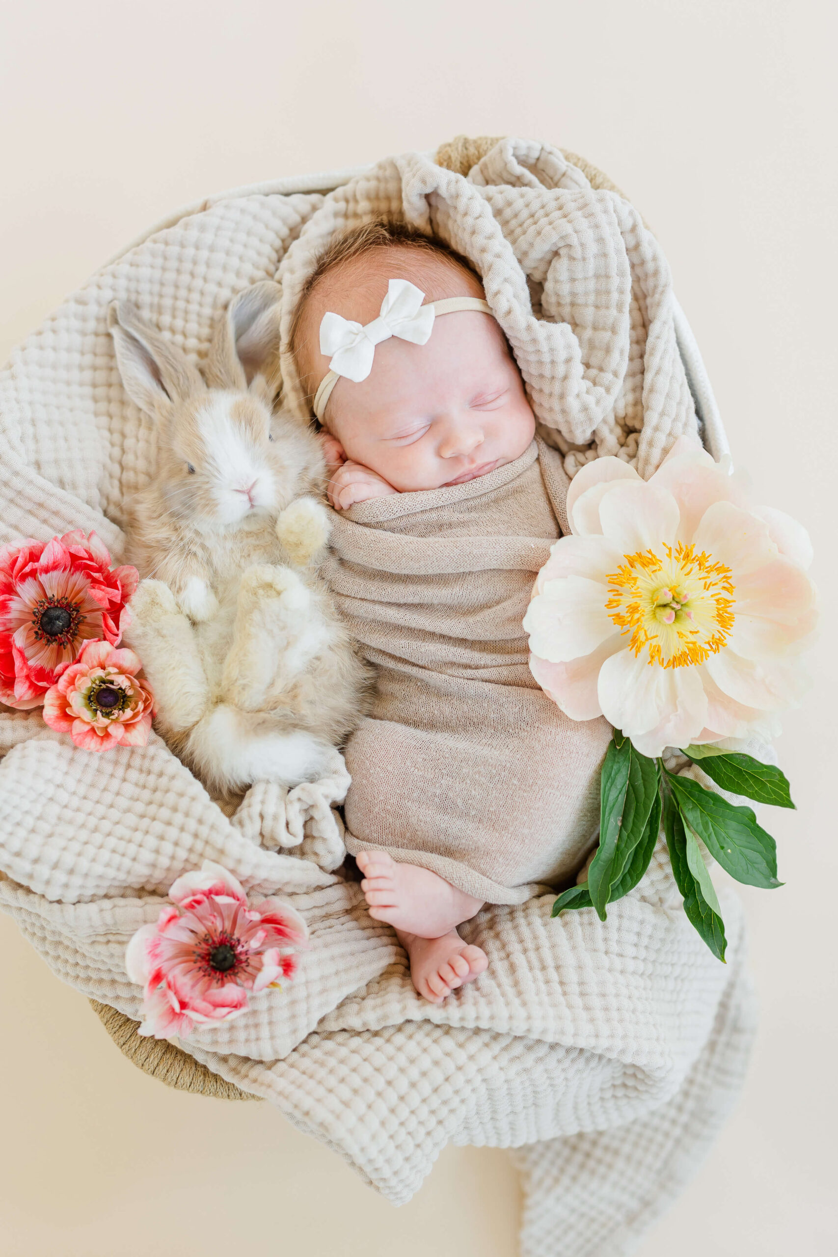 A sleeping newborn in a tan swaddle snuggling a baby bunny on a blanket after meeting pediatricians in wenatchee