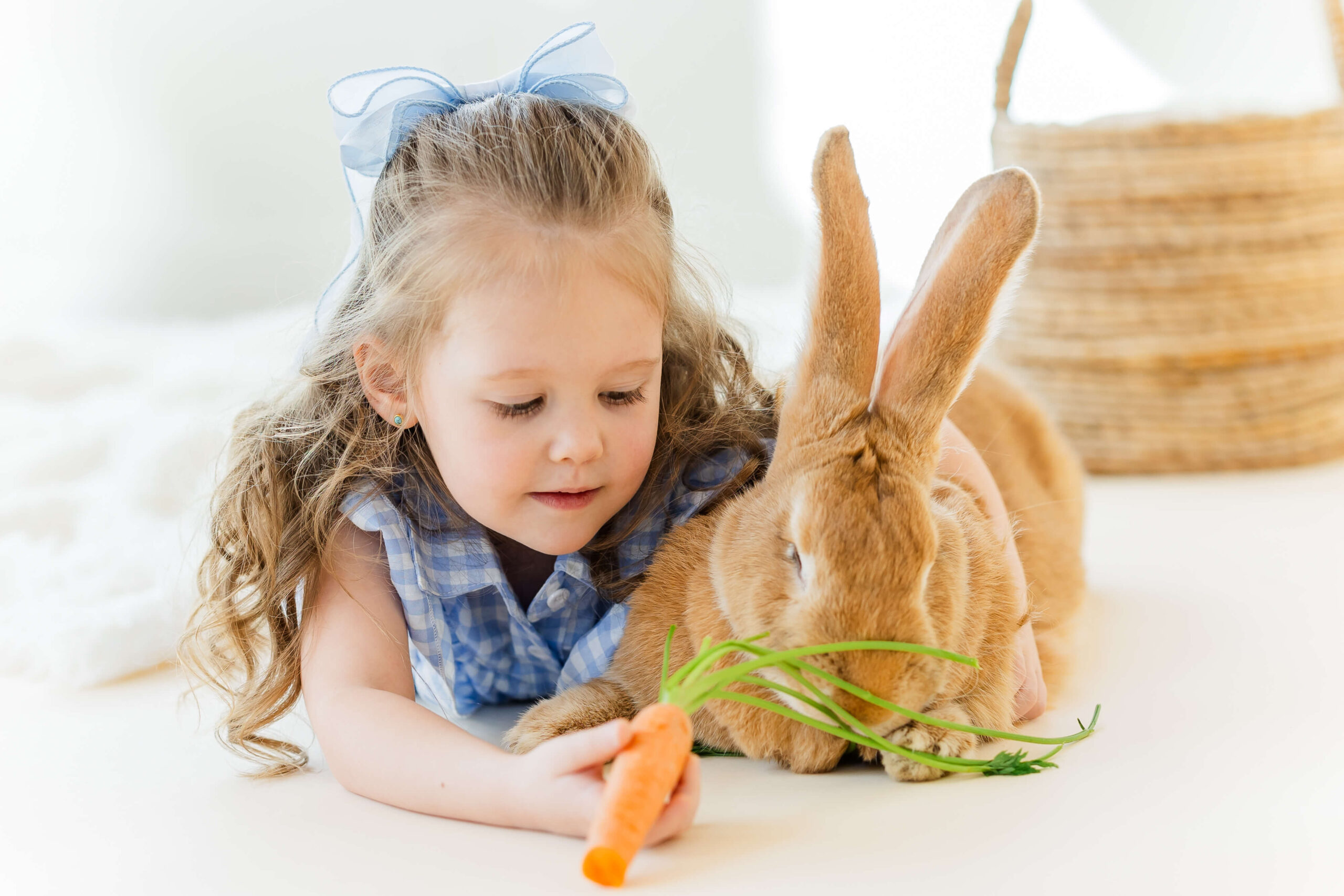 A young girl in a blue blouse feeds a brown bunny a carrot while laying next to it on the floor
